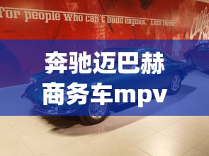 科怀伦纳德图片  第1张