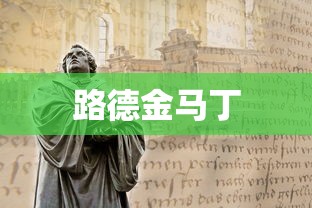 路德金马丁  第1张
