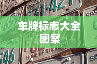 车牌标志大全 图案  第1张