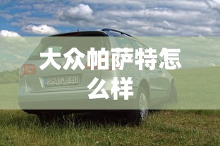 大众帕萨特怎么样  第1张