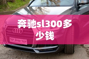 奔驰sl300多少钱  第1张