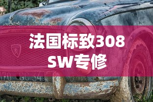 法国标致308SW专修  第1张