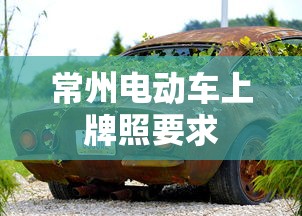 常州电动车上牌照要求  第1张