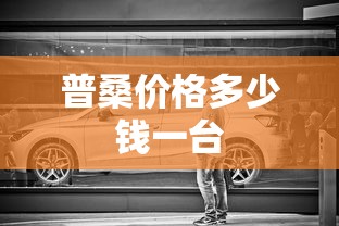 普桑价格多少钱一台  第1张