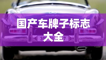 国产车牌子标志大全  第1张