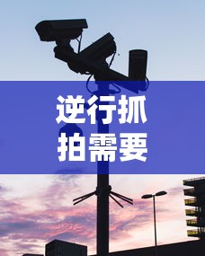 饮水集是谁的集子  第1张