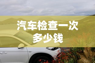 汽车检查一次多少钱  第1张