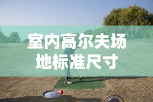 室内高尔夫场地标准尺寸  第1张