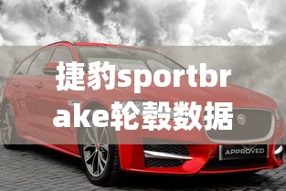 捷豹sportbrake轮毂数据最新  第1张