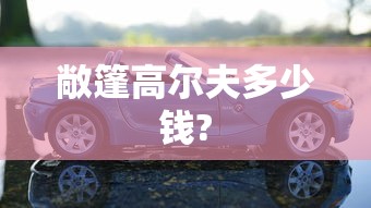 敞篷高尔夫多少钱?  第1张