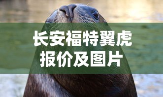 奇瑞电车2025年最新款  第1张
