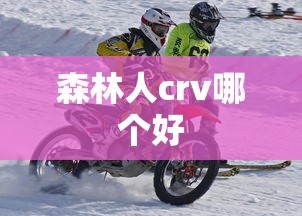 森林人crv哪个好  第1张