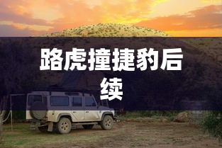 路虎撞捷豹后续  第1张