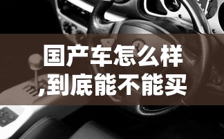国产车怎么样,到底能不能买  第1张