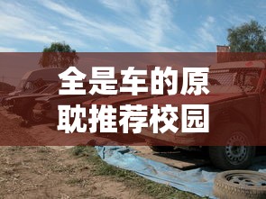 桑洁个人资料简介  第1张