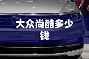 大众尚酷多少钱  第1张