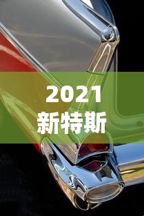 2021新特斯拉model3  第1张
