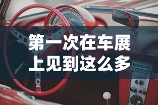 第一次在车展上见到这么多外国人英语  第1张