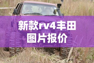 新款rv4丰田图片报价  第1张