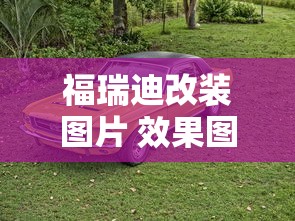 福瑞迪改装图片 效果图  第1张