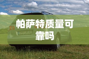 帕萨特质量可靠吗  第1张