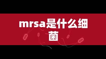 mrsa是什么细菌  第1张