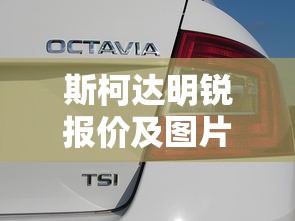 斯柯达明锐报价及图片  第1张