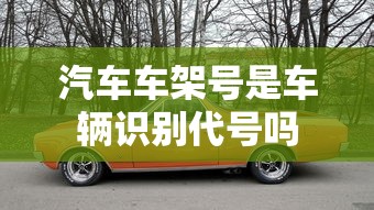 汽车车架号是车辆识别代号吗  第1张
