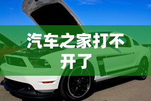 汽车之家打不开了  第1张