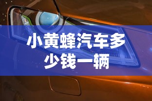 小黄蜂汽车多少钱一辆  第1张