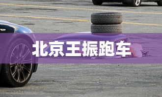 北京王振跑车  第1张