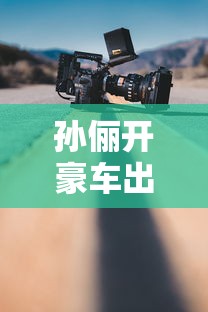 孙俪开豪车出街 视频  第1张