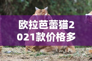 欧拉芭蕾猫2021款价格多少钱  第1张