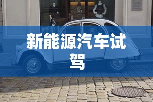 今天你要嫁给我歌词完整版  第1张