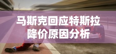 马斯克回应特斯拉降价原因分析  第1张