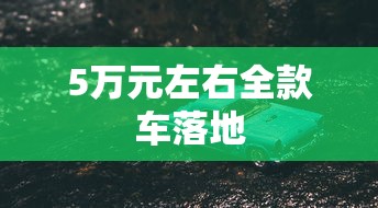 5万元左右全款车落地  第1张