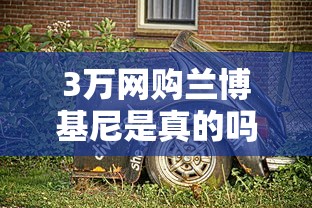 3万网购兰博基尼是真的吗  第1张