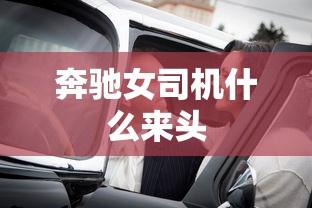 奔驰女司机什么来头  第1张