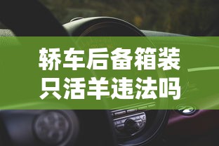 轿车后备箱装只活羊违法吗  第1张