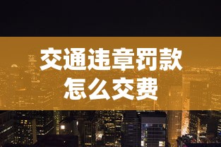 交通违章罚款怎么交费  第1张