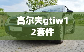 高尔夫gtiw12套件  第1张