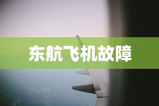 东航飞机故障  第1张