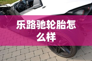 乐路驰轮胎怎么样  第1张