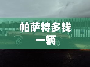帕萨特多钱一辆  第1张