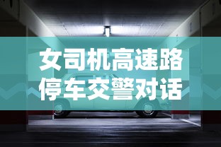 女司机高速路停车交警对话  第1张