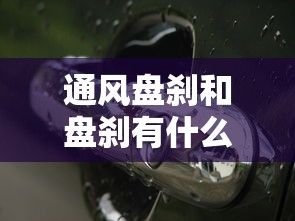 龙飞虎是什么电视剧里的人物  第1张