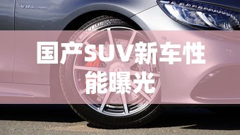 国产SUV新车性能曝光  第1张