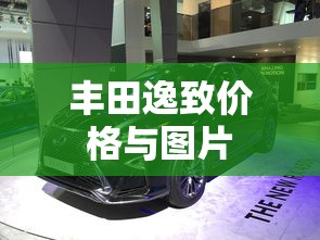 丰田逸致价格与图片  第1张