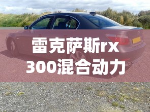 雷克萨斯rx300混合动力报价  第1张