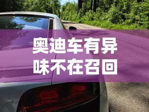 奥迪车有异味不在召回范围内怎么办  第1张
